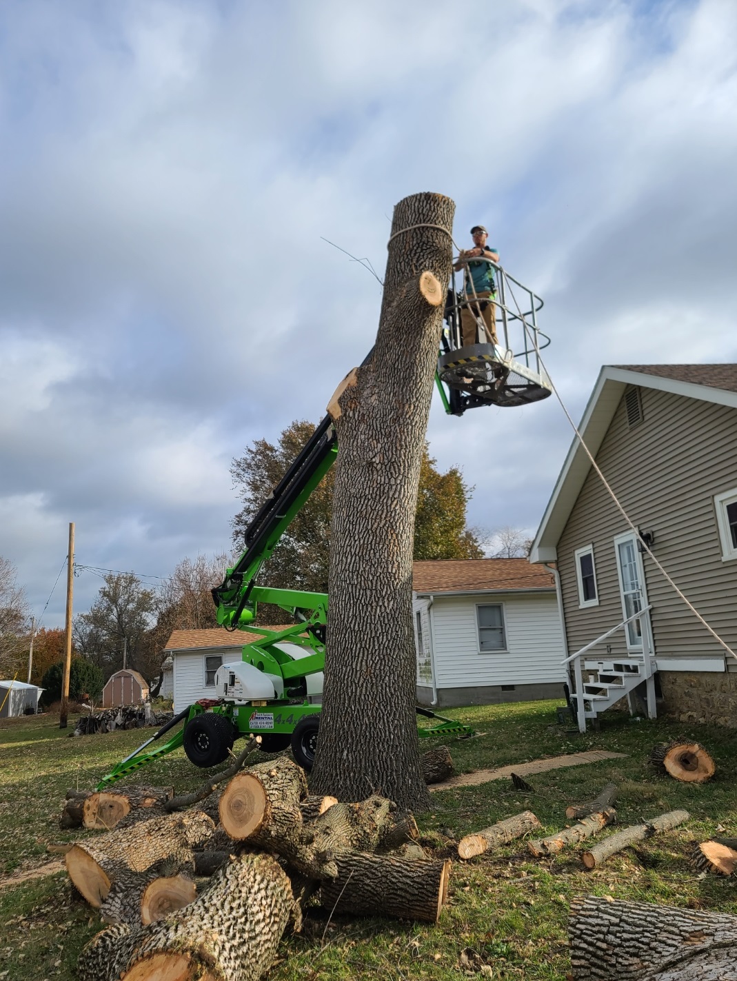 Tanner Rice cutting downn a tree.